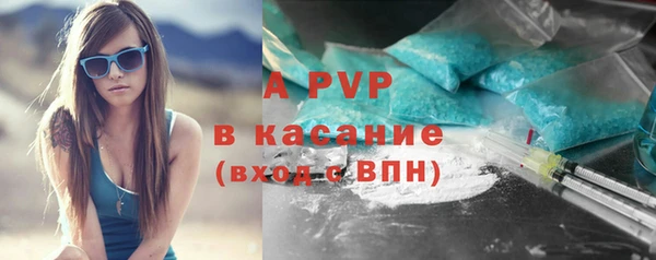 шишки Армянск