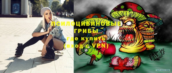 стафф Аркадак