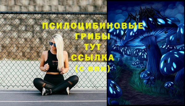 шишки Армянск