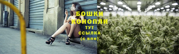 шишки Армянск